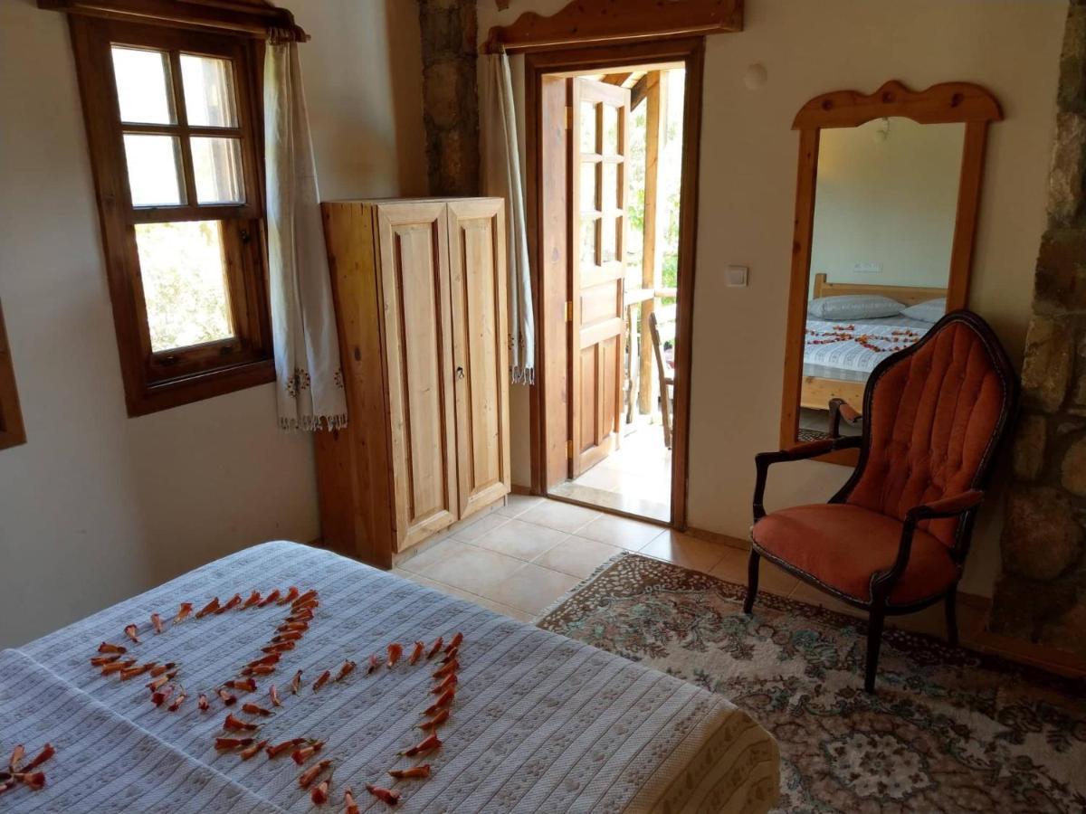 Olympos Koyevi Countryhouse Екстериор снимка