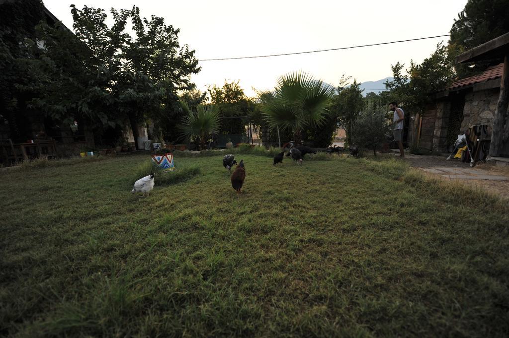 Olympos Koyevi Countryhouse Екстериор снимка