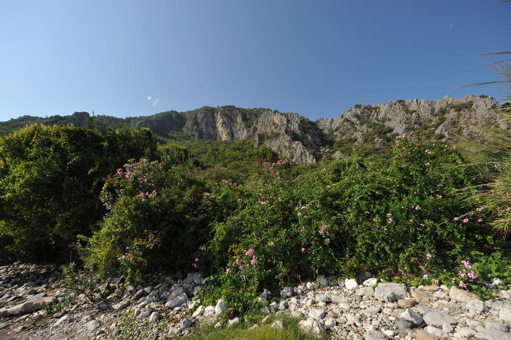 Olympos Koyevi Countryhouse Екстериор снимка