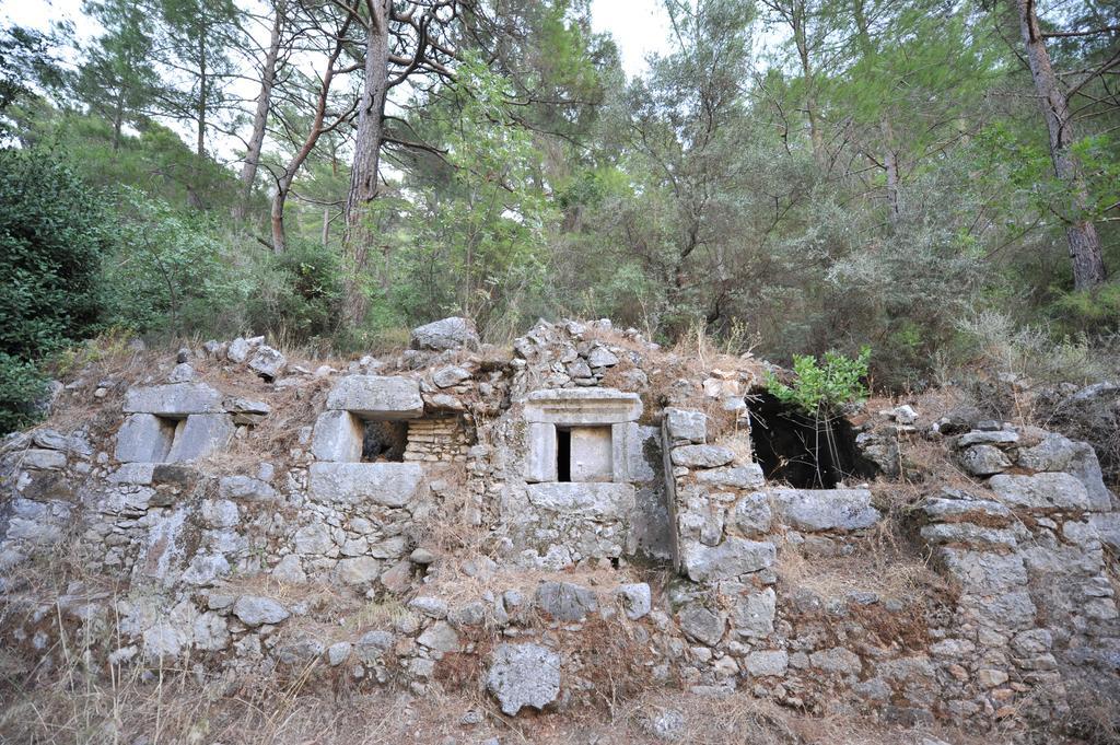 Olympos Koyevi Countryhouse Екстериор снимка