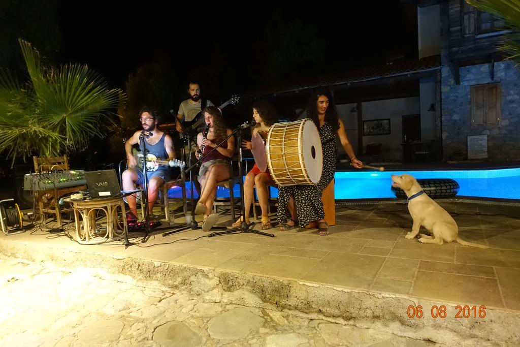Olympos Koyevi Countryhouse Екстериор снимка